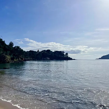 Lägenhet Avec Jardin Proche De La *