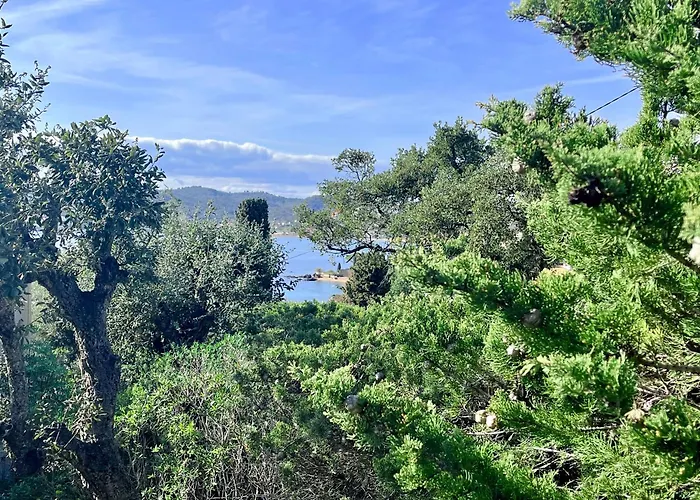 Lejlighed Avec Jardin Proche De La Saint-Raphaël