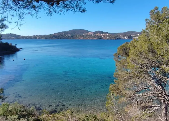 Avec Jardin Proche De La Lejlighed Saint-Raphaël