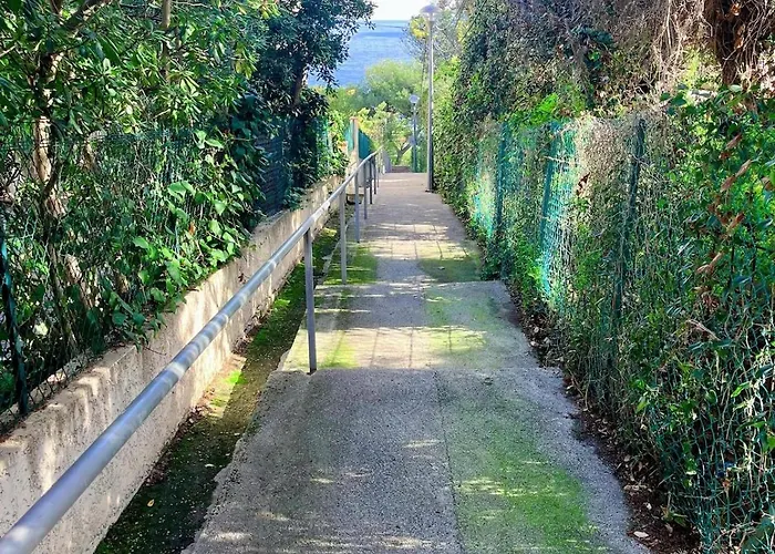 Avec Jardin Proche De La